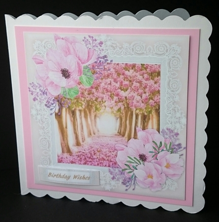 In The Pink by Sue Soules