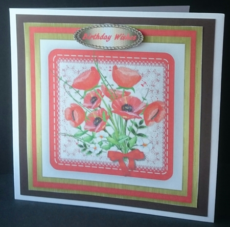Beautiful poppys on a Saddle Stitched Mat  by Sue Soules