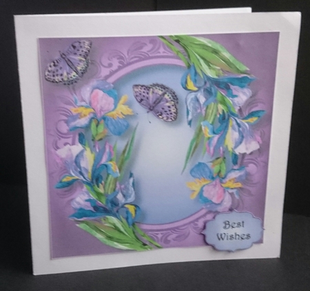 Iris & Butterflies - Watercolour Wonder 8x8 by Sue Soules