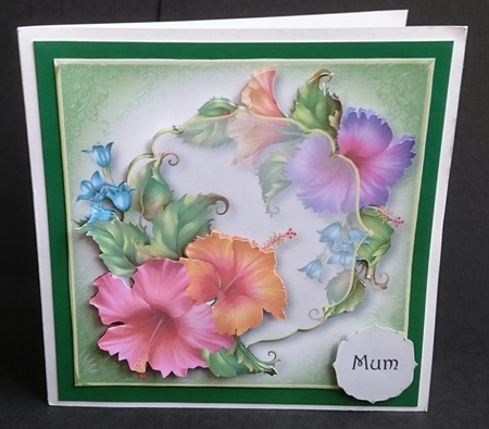 Floral Transparency - Fashionable Florale by Sue Soules