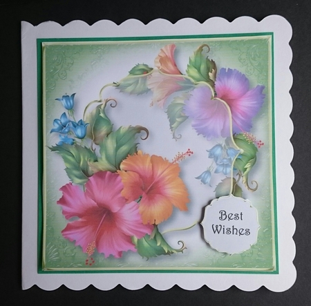 Floral Transparency - Fashionable Florale 8x8 by Sue Soules