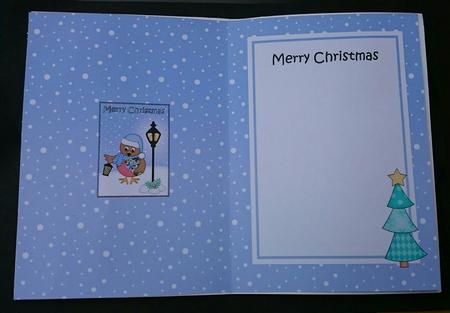 Christmas Little Robin Lamp Post 5x7 Matching Insert by Sue Soules