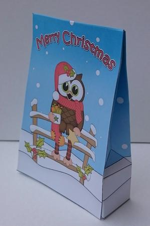 3D Little Christmas Little Hoot Owl Gift Bag Mini Kit by Sue Soules