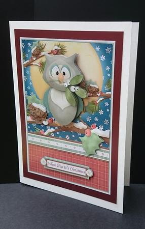 Mistletoe Owl A5 Christmas Card Topper & Decoupage by Sue Soules