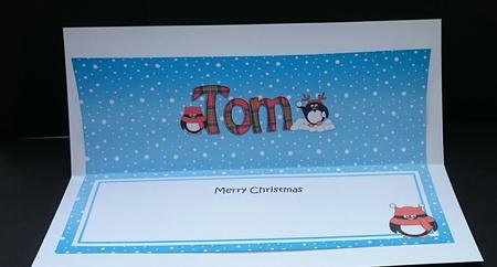 Large Dl Christmas Tom Tartan Penguins Insert by Sue Soules