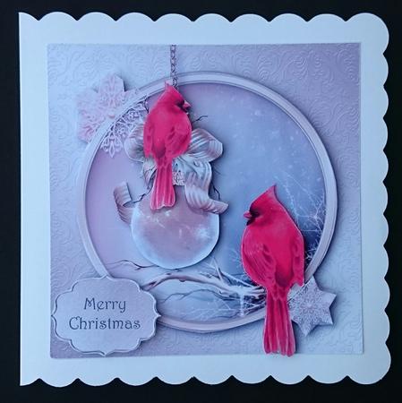 Beautiful Birds at Christmas by Sue Soules