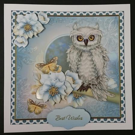 Owl Wishes 7x7 Card Front by Sue Soules