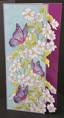 Dl Over the Edge Apple Blossom & Butterflies by Sue Soules