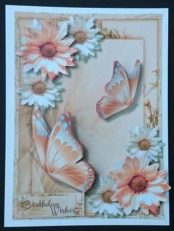 A5 Peach Meadow Floers and Butterfly's by Sue Soules