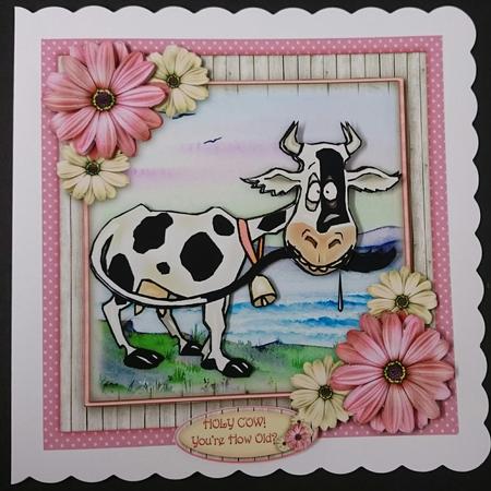 Holy Cow - you're How Old? by Sue Soules