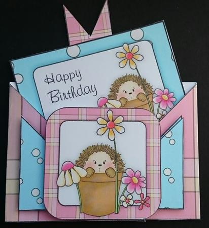 Criss Cross Pocket Hedgehog Birthday Card by Sue Soules
