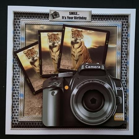 Through the Lens - Tiger by Sue Soules