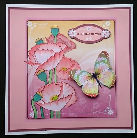 Pretty Poppies & Butterfly by Sue Soules