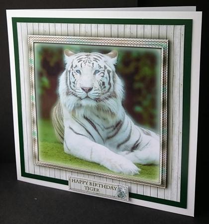 Tiger Tiger by Sue Soules