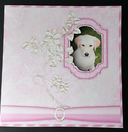 Pearly Pink Cut & Fold Photo Card by Sue Soules