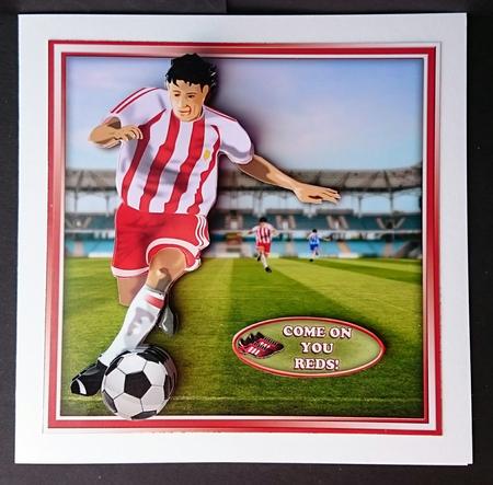 Football Crazy Red by Sue Soules