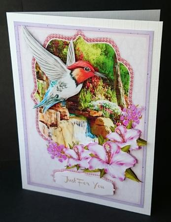 Lovely Humming Bird and Hibiscus  by Sue Soules