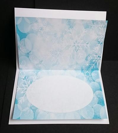 Fancy Blue and White Snowflake Insert by Sue Soules
