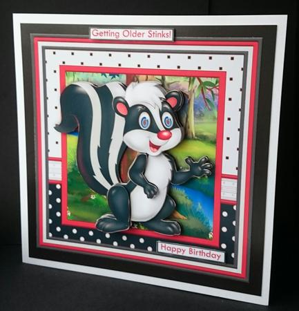 Getting Older Stinks 8x8 Humorous Skunk Decoupage Mini Kit by Sue Soules