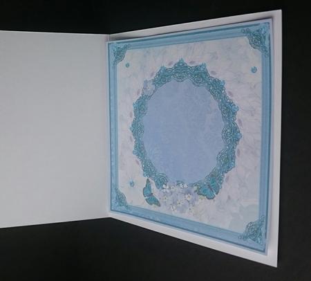 Blank Insert for Bluetits , Butterflies and Forgetme Nots by Sue Soules