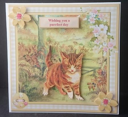 Exploring Kitten Card Topper & Decoupage by Sue Soules