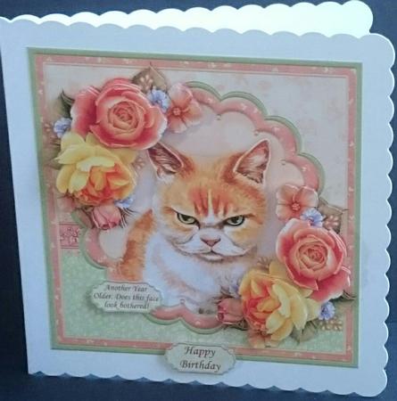Another Year Older Does This Face Look Bothered 8x8 Mini Kit by Sue Soules