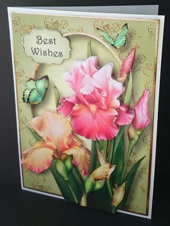 Beautiful Blush Iris A5 Mini Kit by Sue Soules