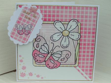 Butterfly Quick Card with Pyramage by Sue Taylor
