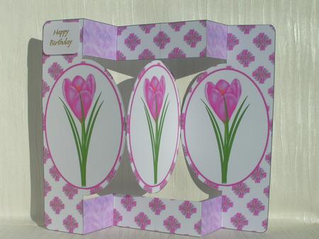 Pink Crocus Oval Folded Pop Out Card by Sue Taylor