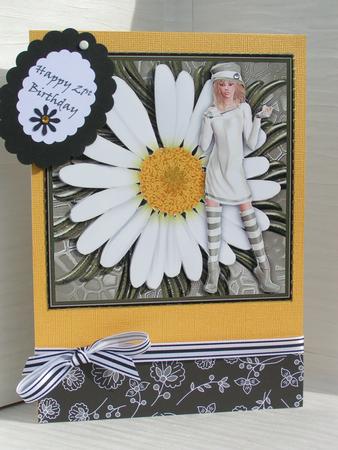 Daisy--daisy by Sue Taylor
