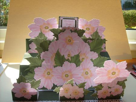 Delightful Pink Dogwood Flowers - 3D A4 Giant Easel Card by Sue Wright