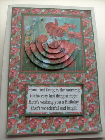 The Poppy Field Birthday by Sue Wright