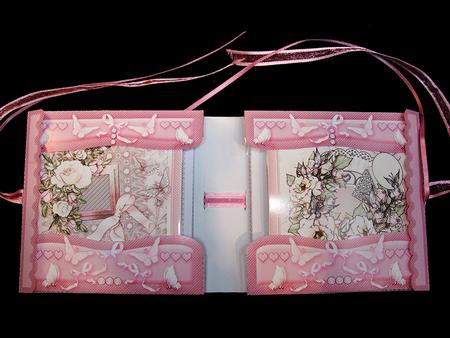 Stationery Gift Set - Pink Roses and Butterflies Bumper Kit by Sue Douglas