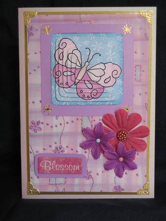 Fluttery Butterfly Pyramage Sheet by Sue Turner