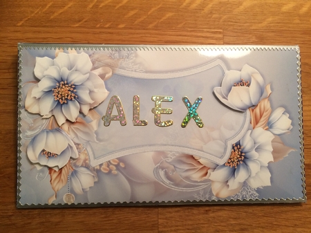 Winter Blue Flowers Money Wallet by Sue Way