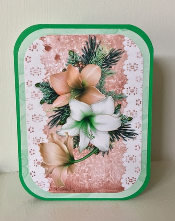 Pretty peach and white Amaryllis on lace with bow A4 by Susan Byczko