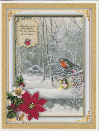 Robin Redbreast - Christmas Wishes by Susan Cummings