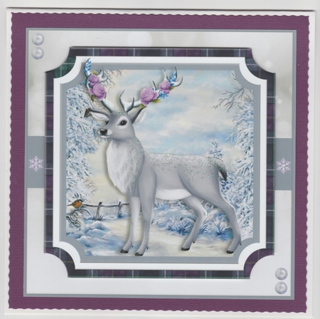 WINTER DEER by Susan Cummings