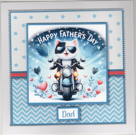 Fathers Day Biker Cat Card Kit by Susan Cummings