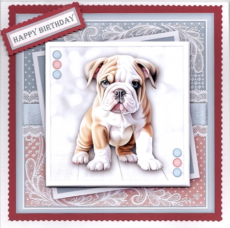 Birthday Bulldog  by Susan Cummings