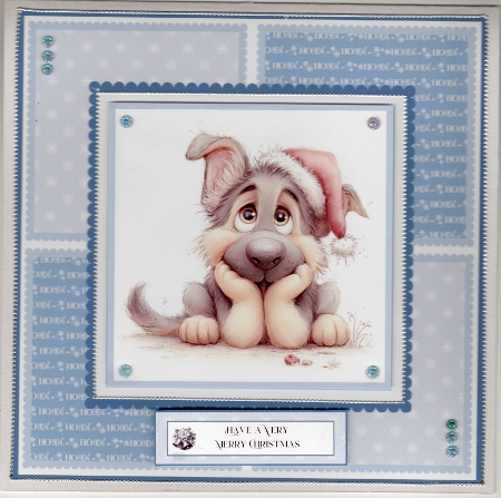 Cute and Funny Christmas Dogs - 8x8 Card Fronts by Susan Cummings