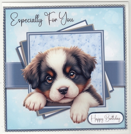 The New Puppy 2 by Susan Cummings