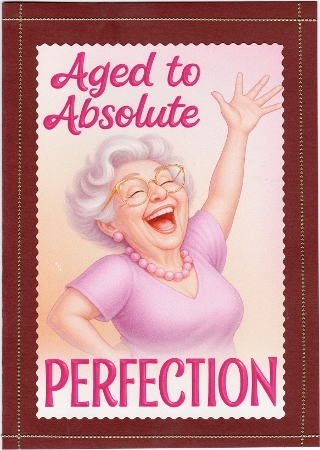 DD FUNNY FEMALE BIRTHDAY A4 49 by Susan Cummings