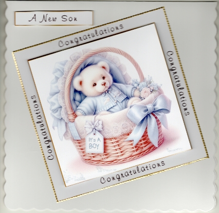 baby basket 1 by Susan Cummings