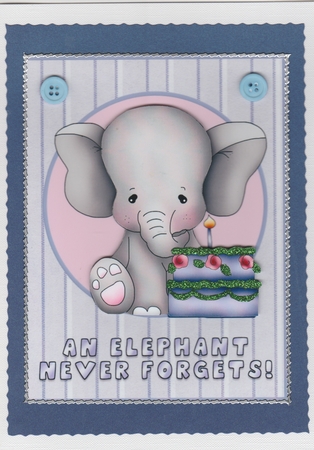 Elephants Never Forget by Susan Cummings