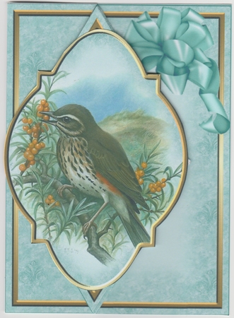 Wild Bird Diamond Fold Back Card Kit by Susan Cummings