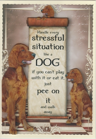Handle Every Stressful Situation Like a Dog - red Setter by Susan Cummings