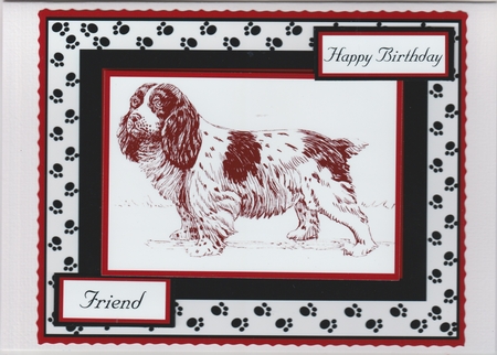 50th Birthday Card for Sister or Brother by Susan Cummings