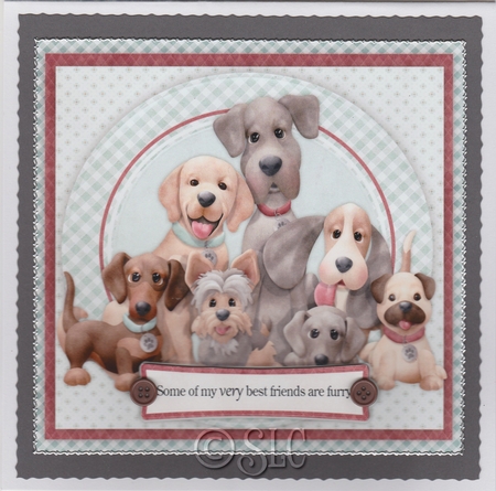Some of my Best Friends are Furry by Susan Cummings