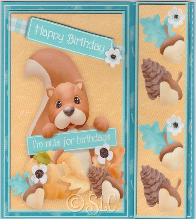 Im Nuts for Birthdays Card Kit by Susan Cummings